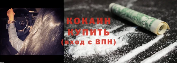ПСИЛОЦИБИНОВЫЕ ГРИБЫ Гусев