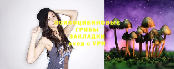 ПСИЛОЦИБИНОВЫЕ ГРИБЫ Гусев