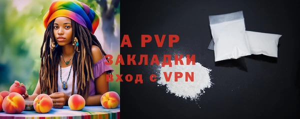 ПСИЛОЦИБИНОВЫЕ ГРИБЫ Гусев