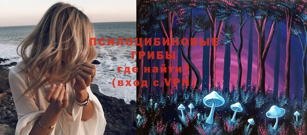 а пвп мука Горняк