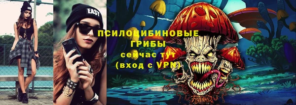 кристаллы Гусь-Хрустальный