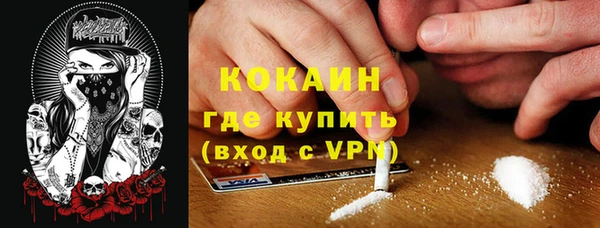ПСИЛОЦИБИНОВЫЕ ГРИБЫ Гусев