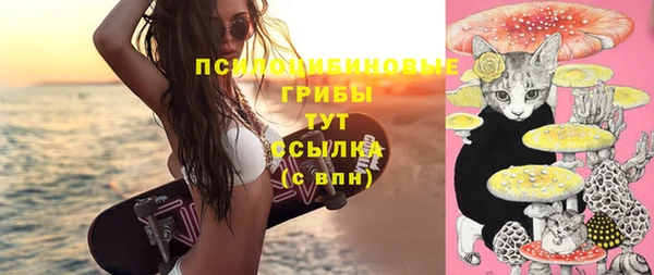 кристаллы Гусь-Хрустальный