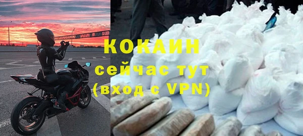 ПСИЛОЦИБИНОВЫЕ ГРИБЫ Гусев