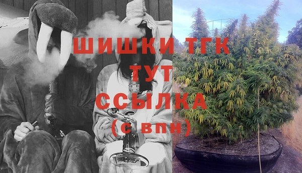 ПСИЛОЦИБИНОВЫЕ ГРИБЫ Гусев