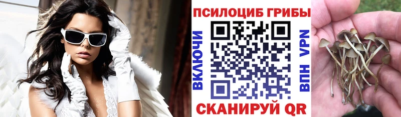 блэк спрут онион  Похвистнево  Галлюциногенные грибы Cubensis  купить  цена 